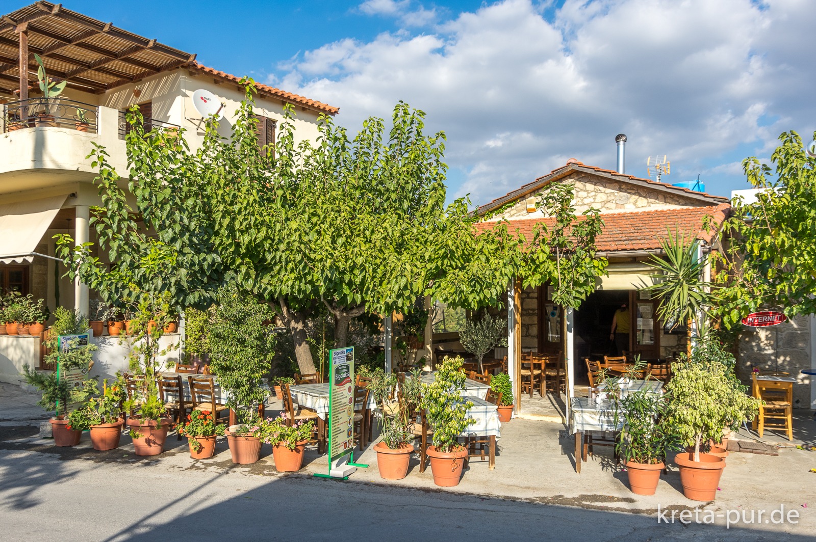 Taverna Sigelakis, always excellent...